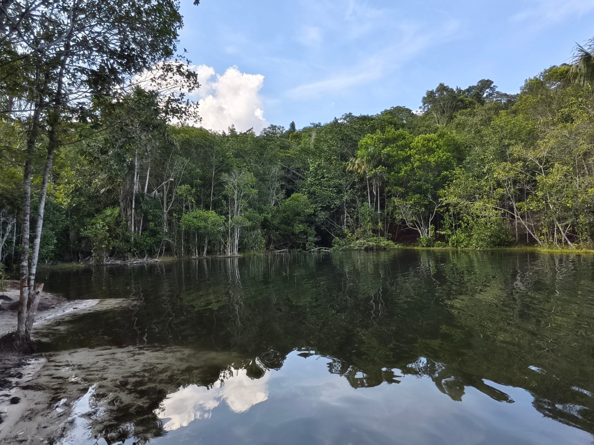 Lectura junguiana del mito de Yurupary parte II