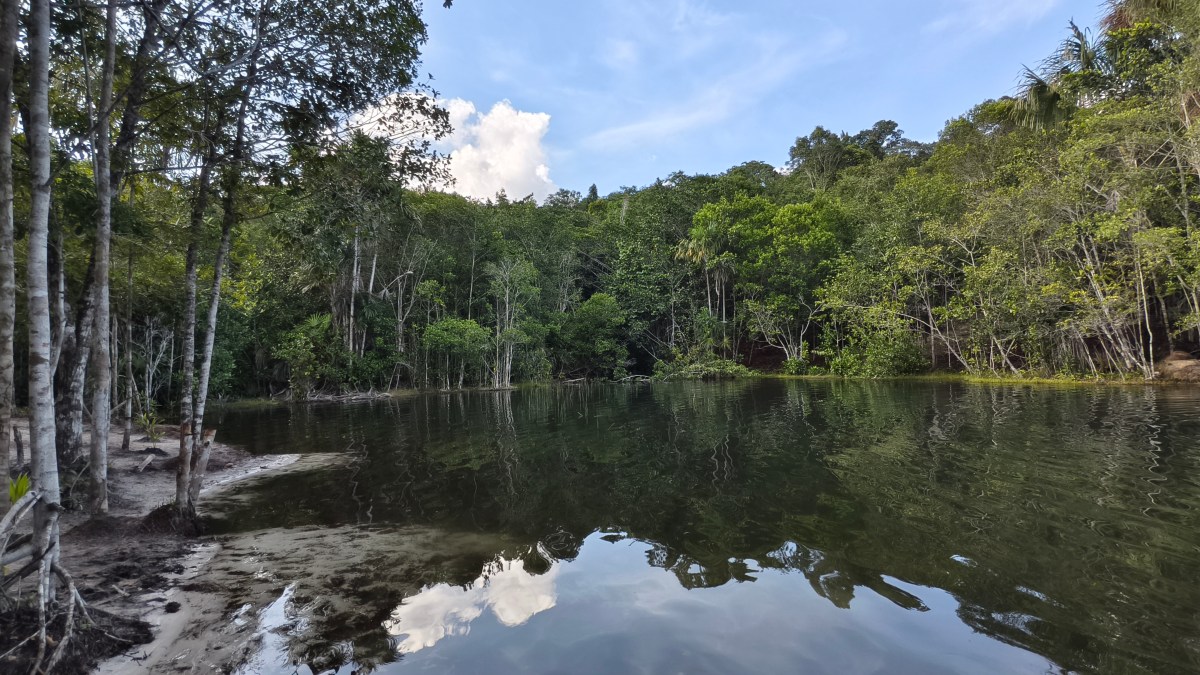 Lectura junguiana del mito de Yurupary parte II